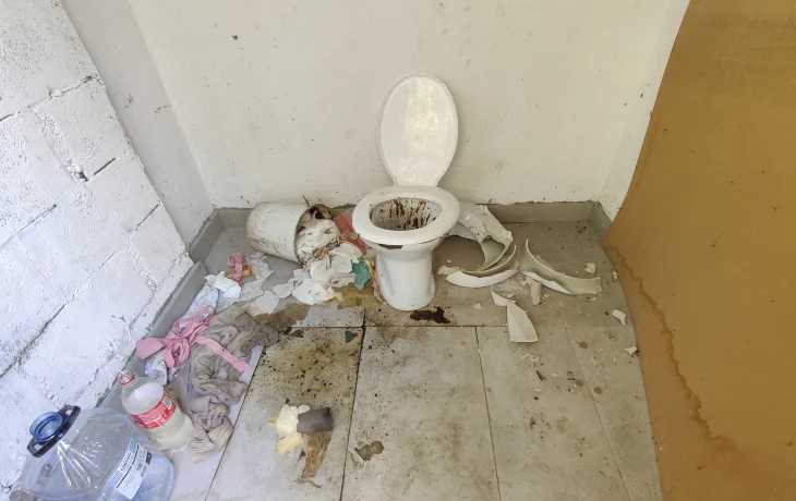 Poate cunoaste cineva , cine a distrus viceul ???.