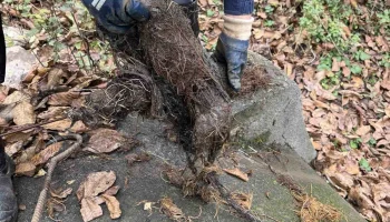 A fost curătit sistemul de drenaj al APC A0120-0223